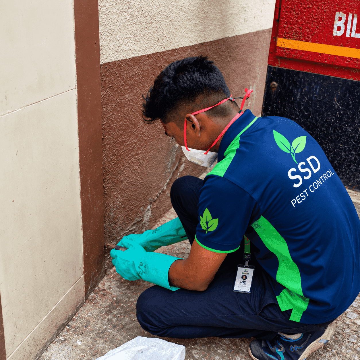 SSD technician in uniform, mask and gloves treating the base of a wall outside a building