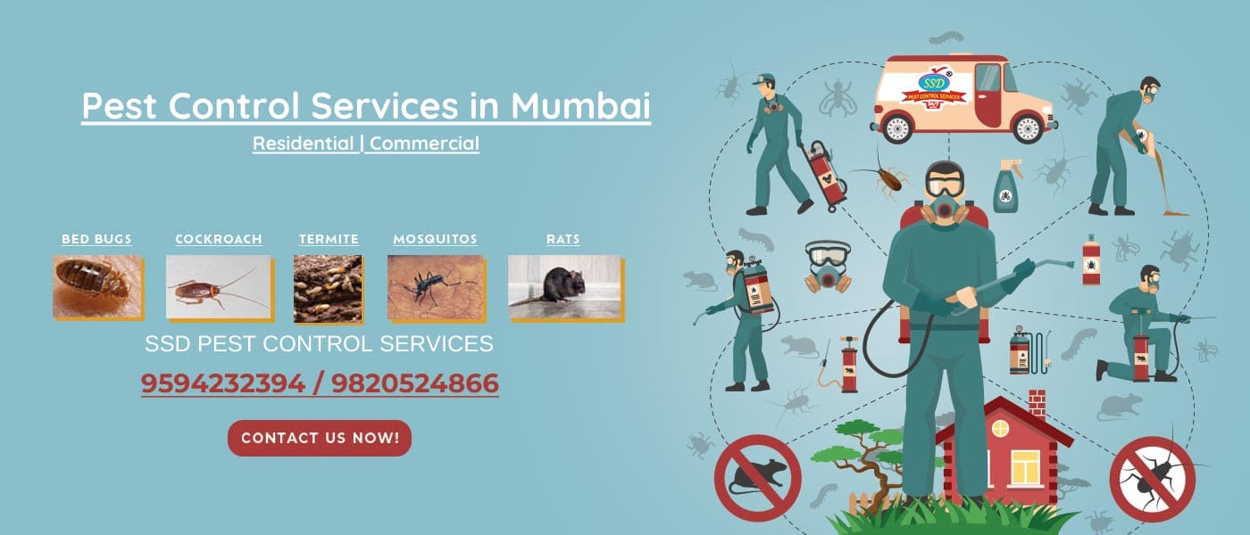 Pest control services in Malad - SSD Pest Control Services