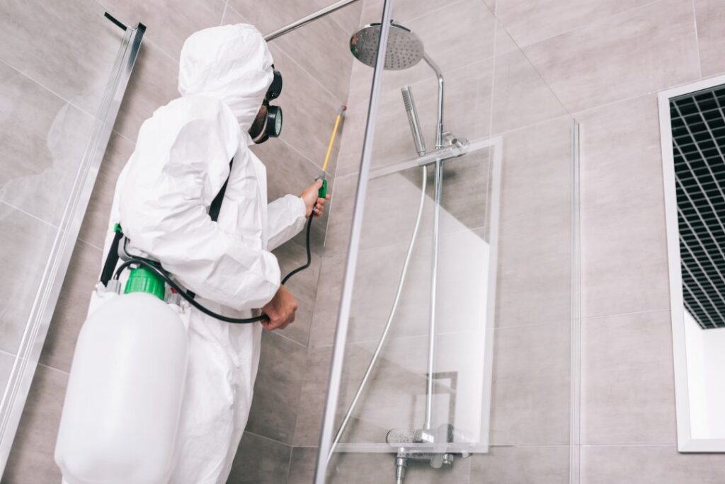 Top 10 Warning Signs of a Termite Infestation in Your Home
