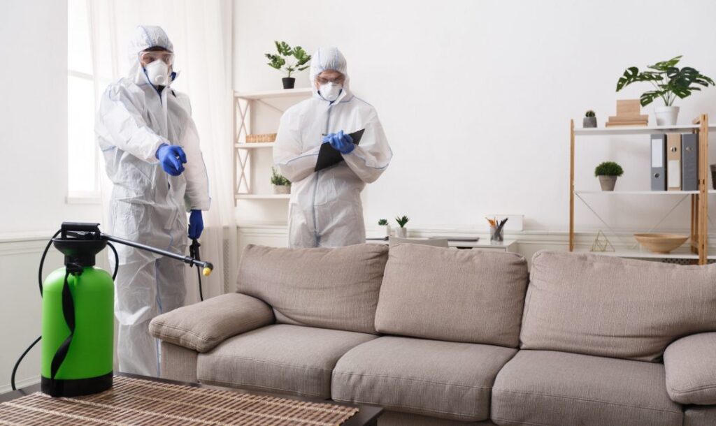 Why Cockroach Pest Control is Essential for a Healthy Home